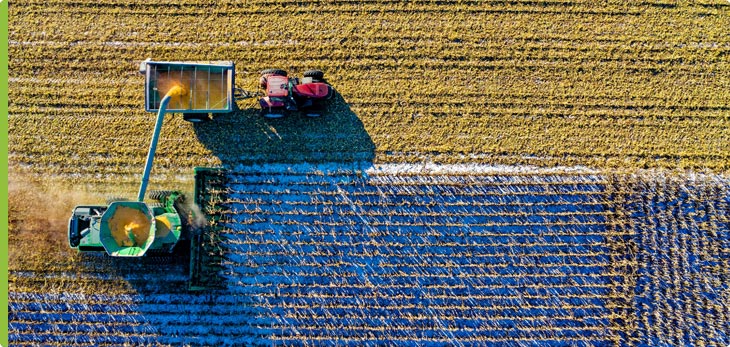 Agricultural Fertilizer at Mears Fertilizer, Inc.