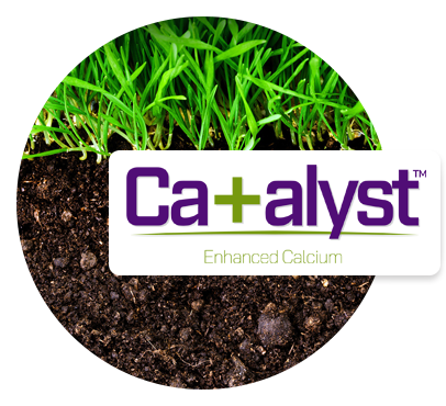 Catalyst Enhanced Calcium prodcuts for proper soil pH.