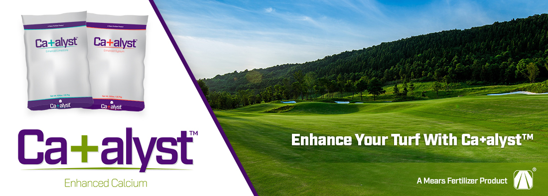 Enhance Your Turf With Ca+alyst