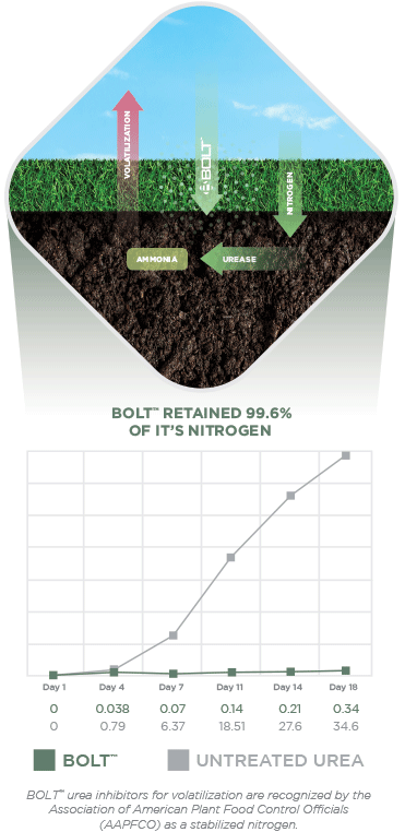 Bolt Stabilized Urea