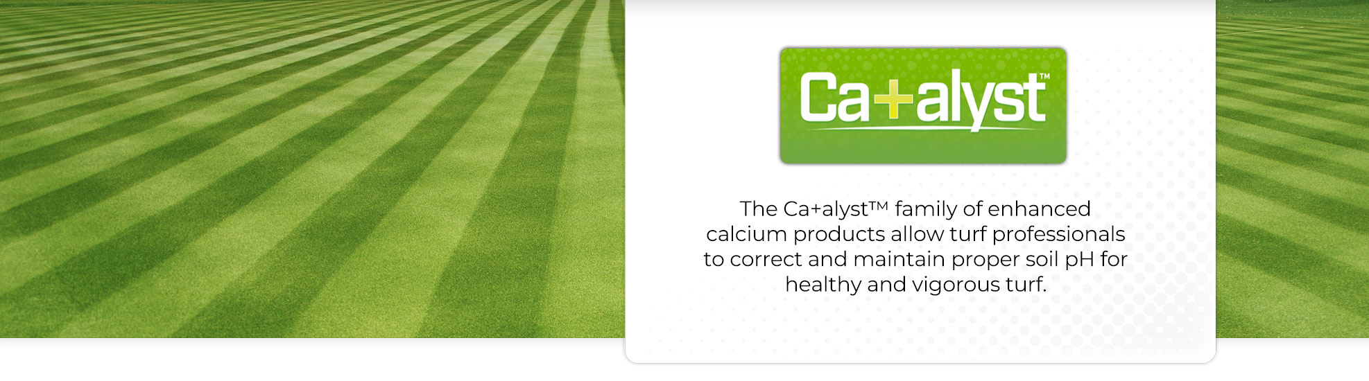 The Catalyst family of enhanced calcium products allow turf professionals to correct and maintain proper soil pH for healthy and vigorous turf.